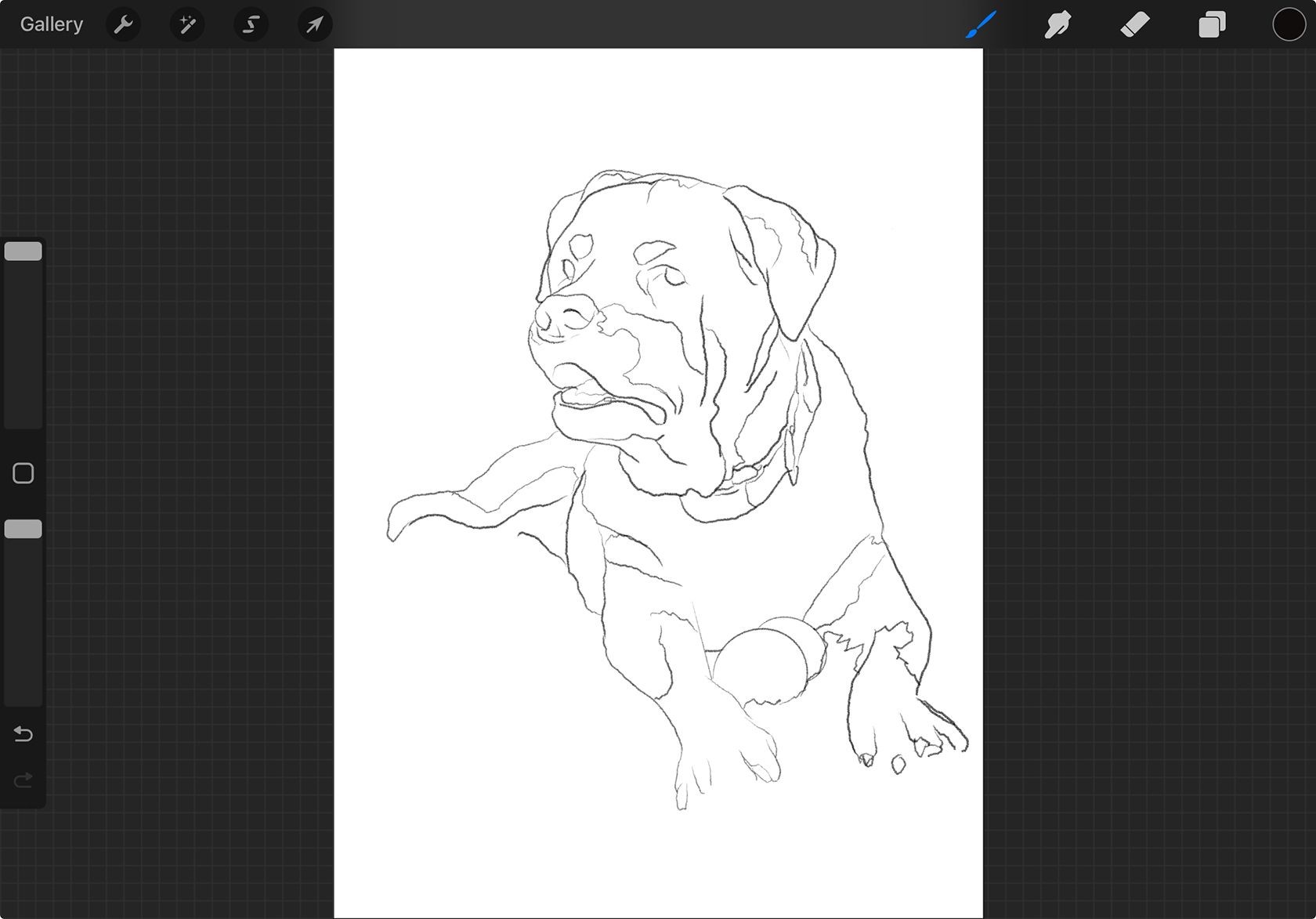 Phác thảo hoàn thiện trong Procreate