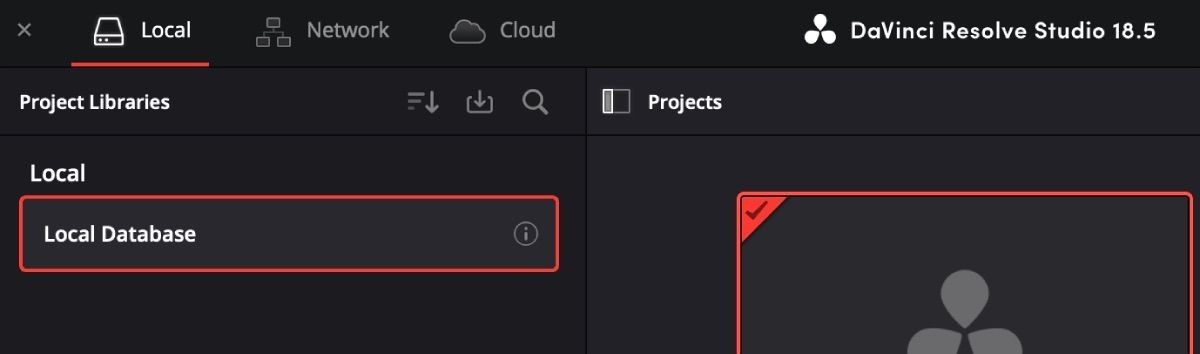 Project Manager với tab Local Database