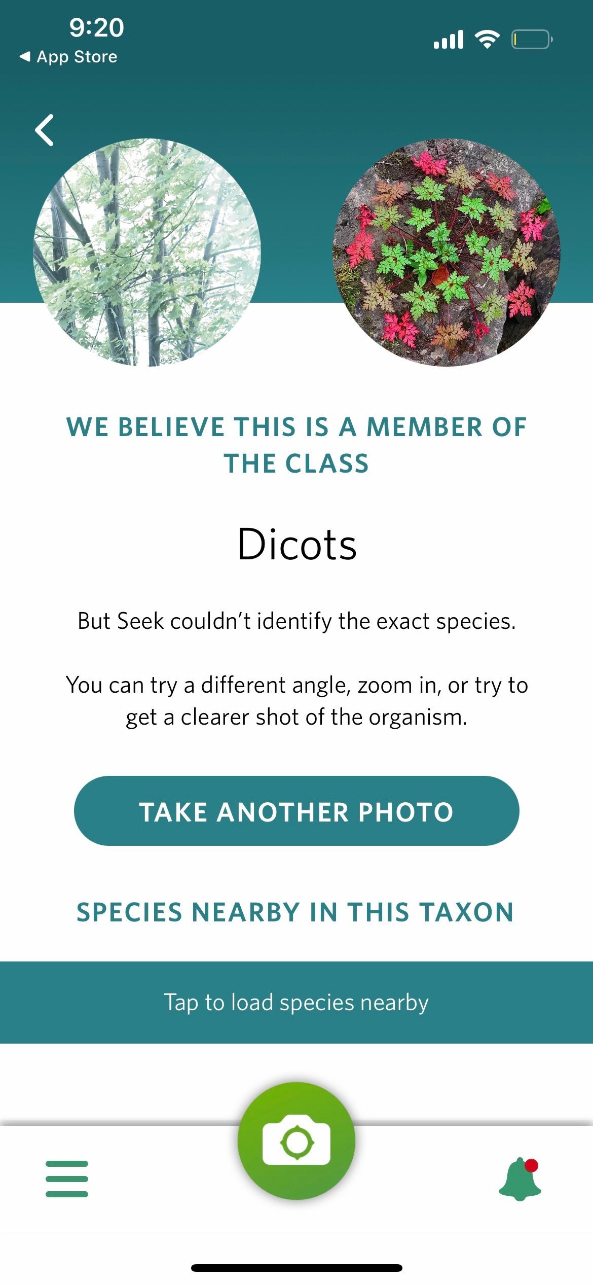 Seek by iNaturalist nhận diện sinh vật