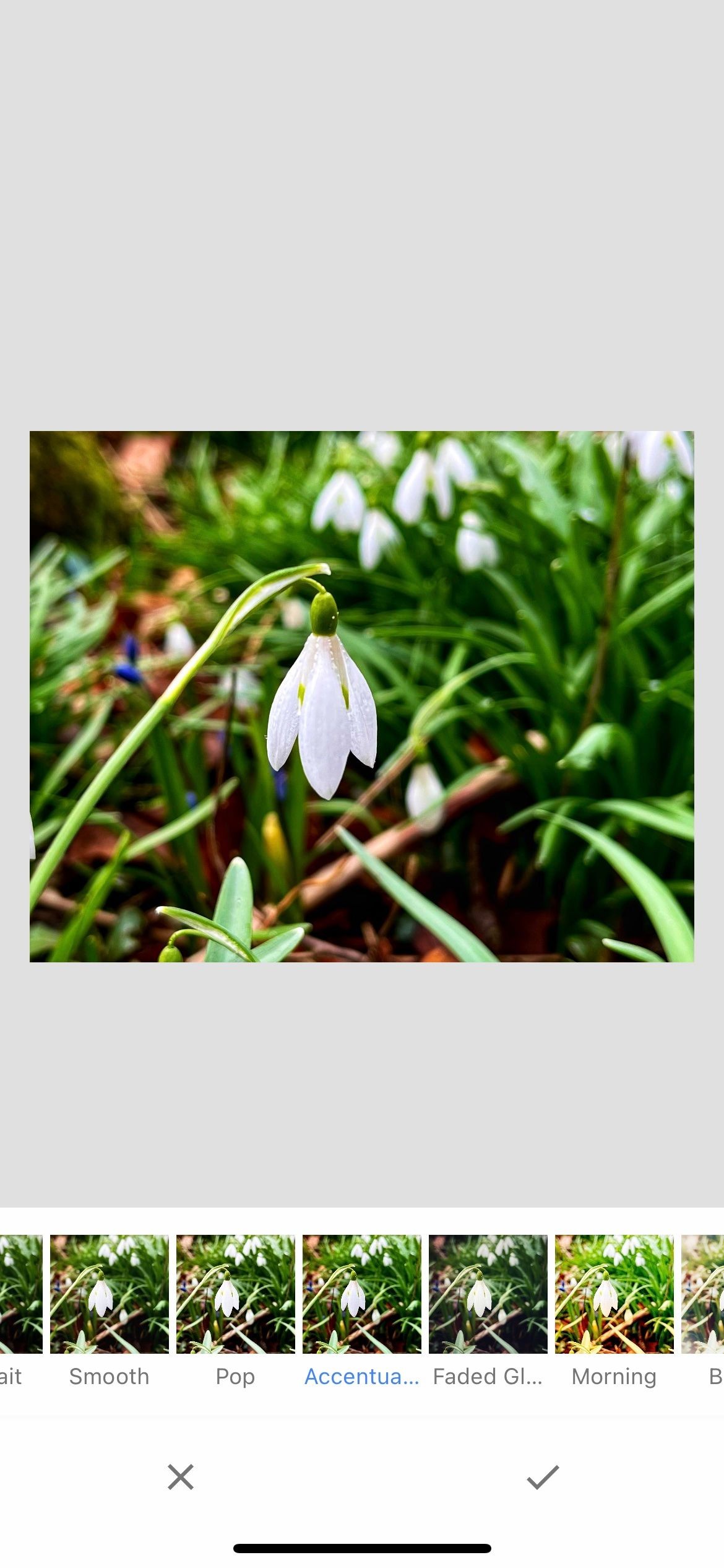 Snapseed chỉnh sửa ảnh