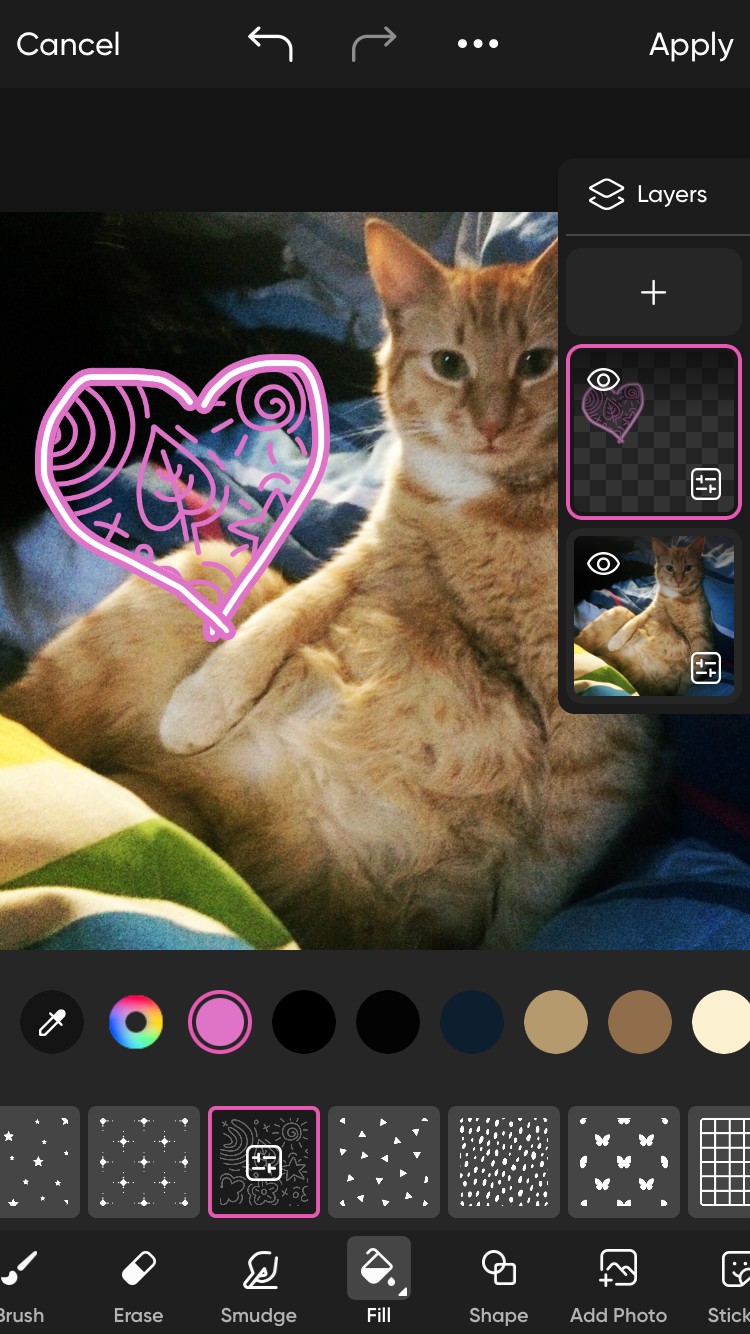 Sử dụng công cụ vẽ đổ màu trên ảnh mèo cam trong Picsart