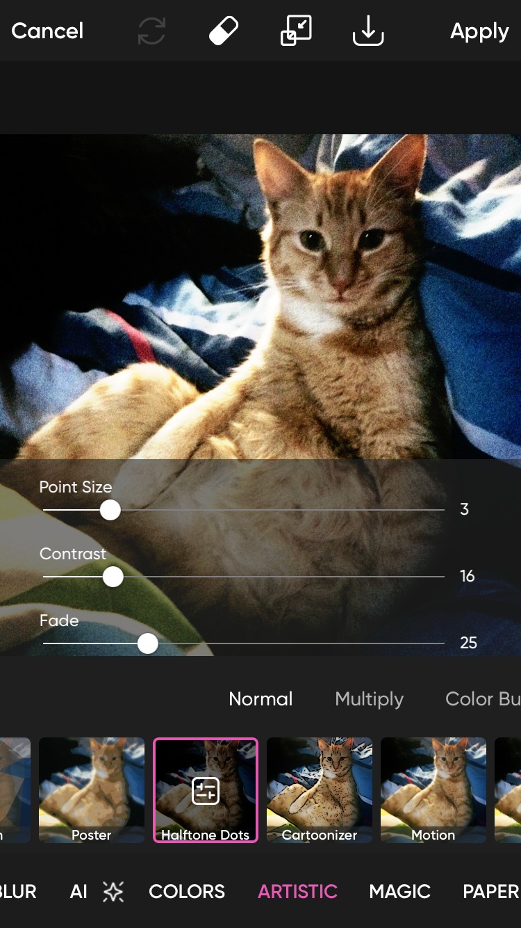 Sử dụng hiệu ứng chấm bán tông trên ảnh mèo cam trong Picsart