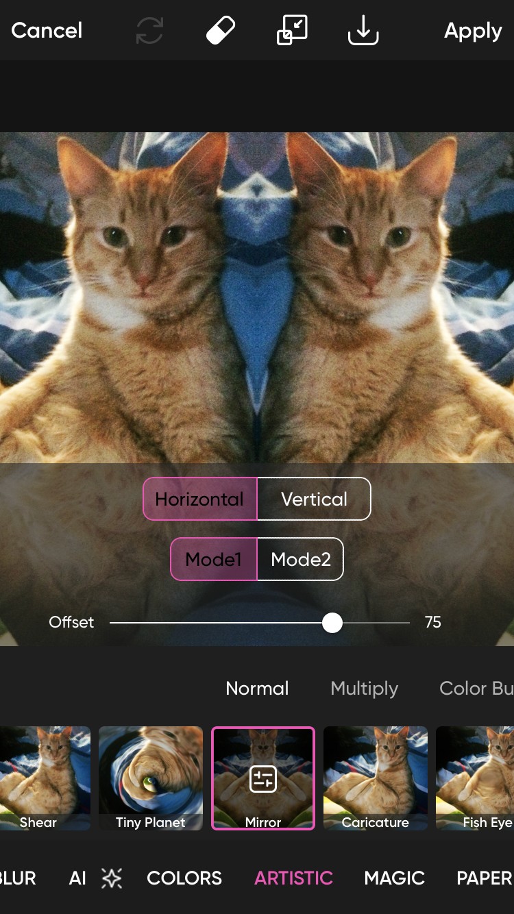 Sử dụng hiệu ứng gương trên ảnh mèo cam trong Picsart