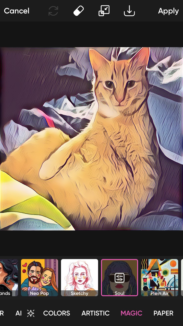 Sử dụng hiệu ứng linh hồn ma thuật trên ảnh mèo cam trong Picsart