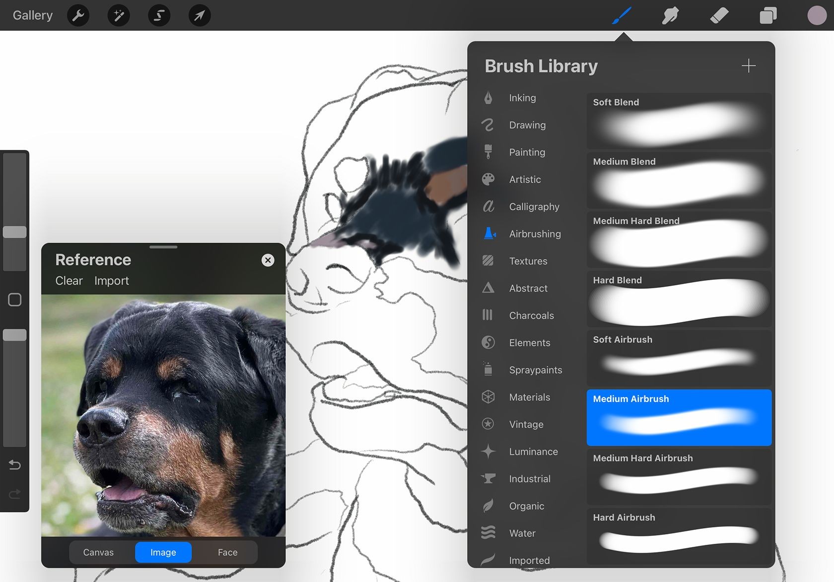 Thư viện bút vẽ trong Procreate