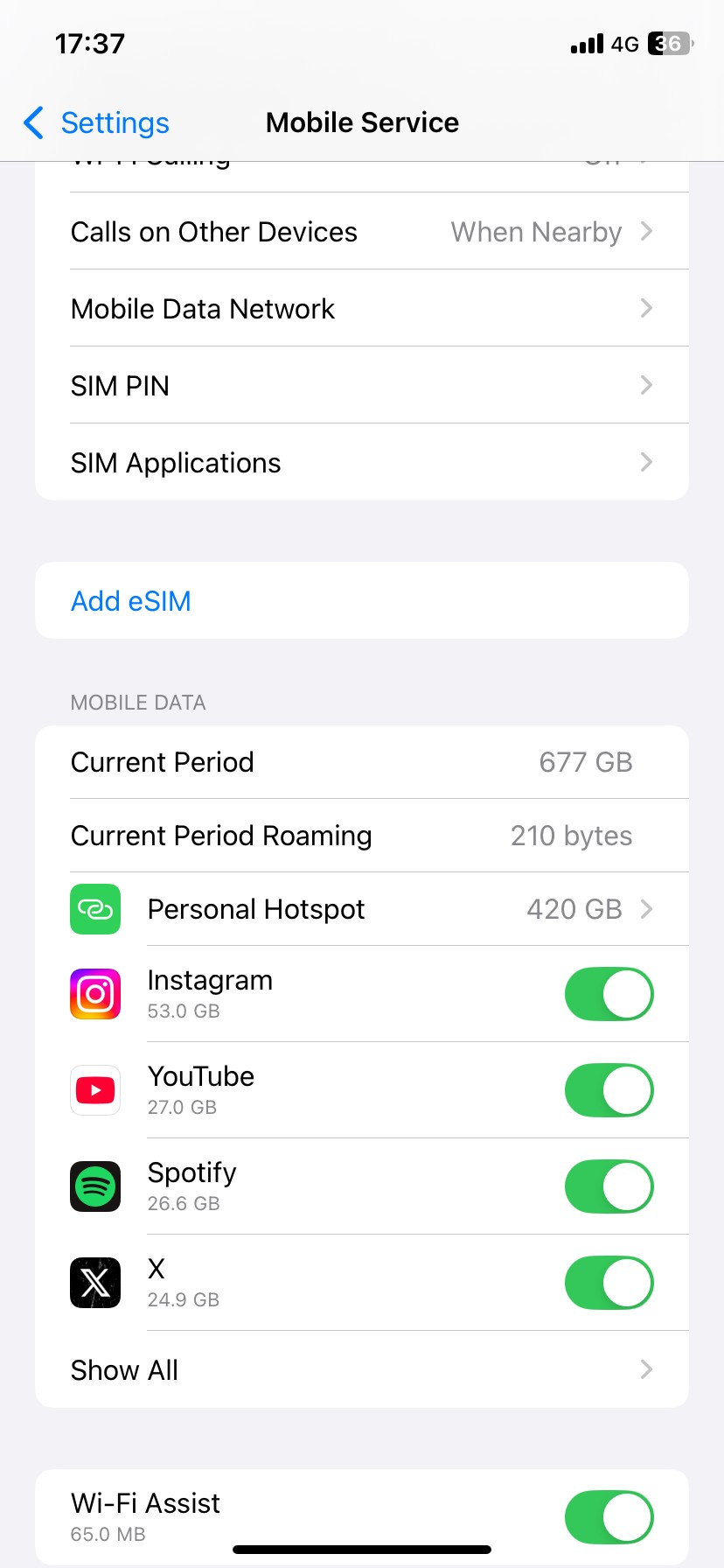 Trang cài đặt Dịch vụ di động trên iPhone