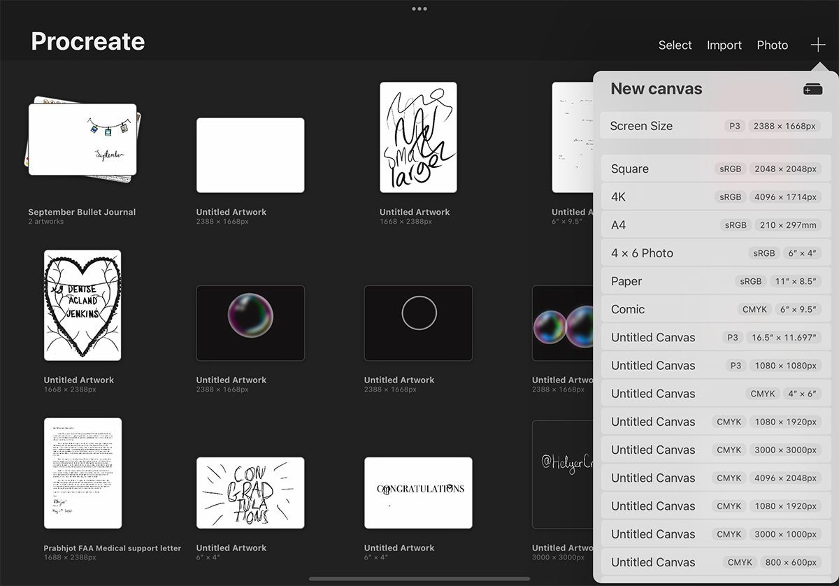 Tùy chọn hồ sơ màu của tệp mới trong Procreate.