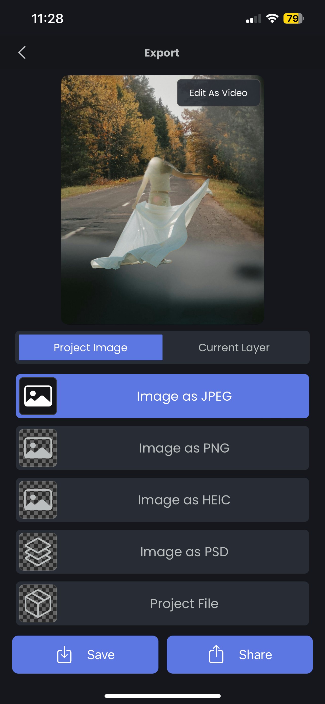 Tùy chọn lưu ảnh trên Superimpose X để tải xuống dưới dạng JPEG, PNG, HEIC, PSD