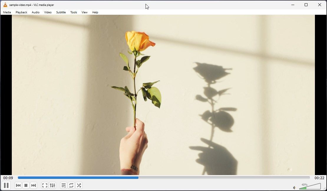 VLC Media Player trên Windows 11